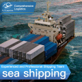 Professional China Freight Forwarder Sea Shipping To USA/UK  AMAZON WAREHOUSE